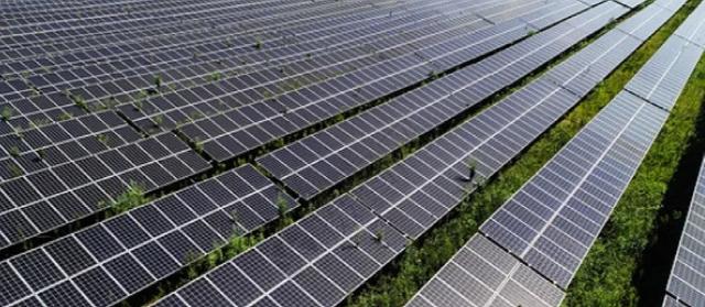 1636781442187833.jpeg 4b90f603738da9771827e17b72dea108618e316.jpeg